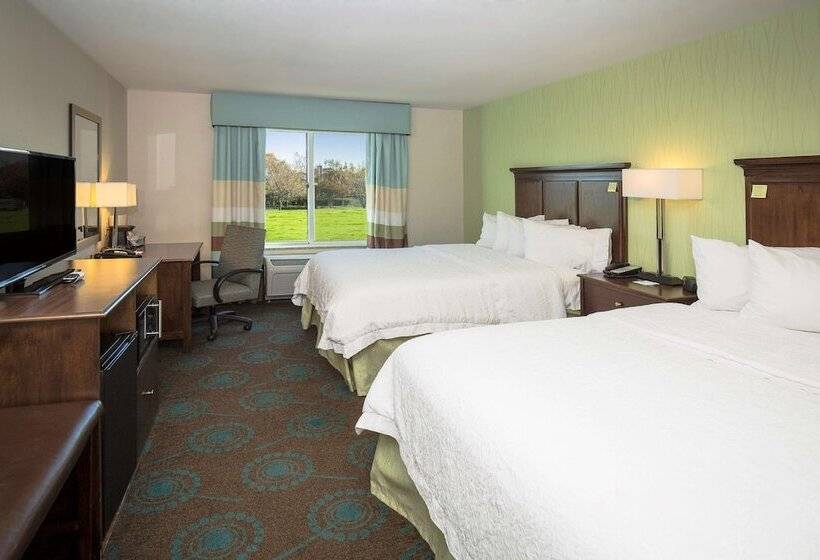 스탠다드 룸 더블 침대 2개, Hampton Inn & Suites Suisun City Waterfront