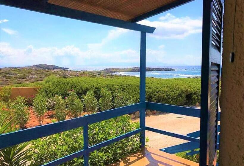 Апартаменты 1 Спальня, Zorbas Beach Village