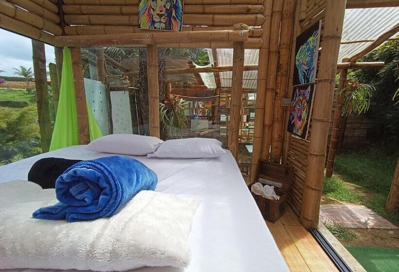 스탠다드 방갈로 정원 전망, Biohotel Ecohouse