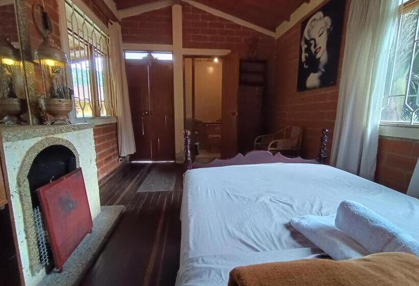 스탠다드 룸, Biohotel Ecohouse
