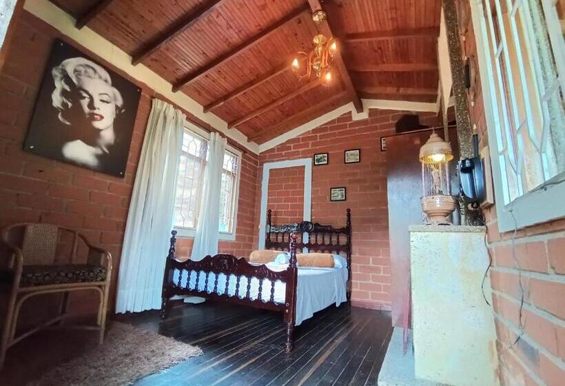 스탠다드 룸, Biohotel Ecohouse