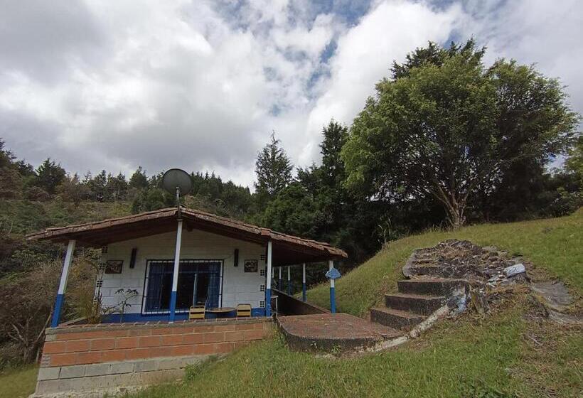 샬레, Biohotel Ecohouse