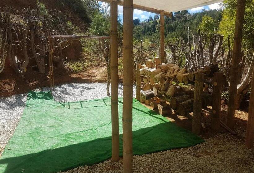 디럭스 스위트, Biohotel Ecohouse