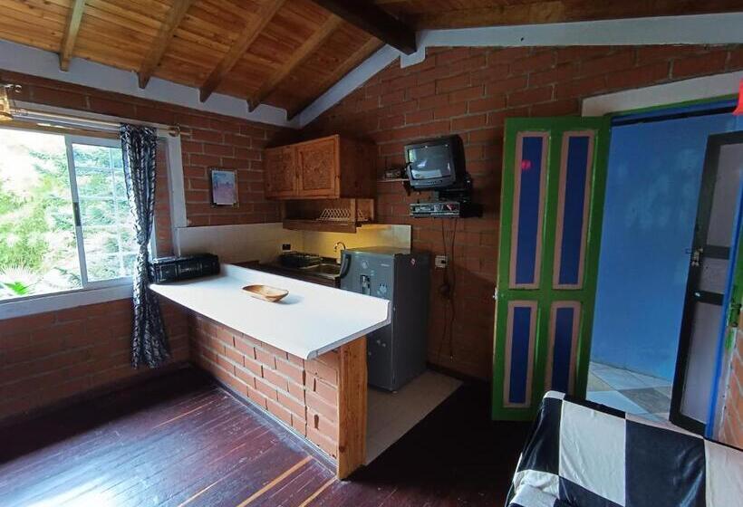 스탠다드 룸, Biohotel Ecohouse