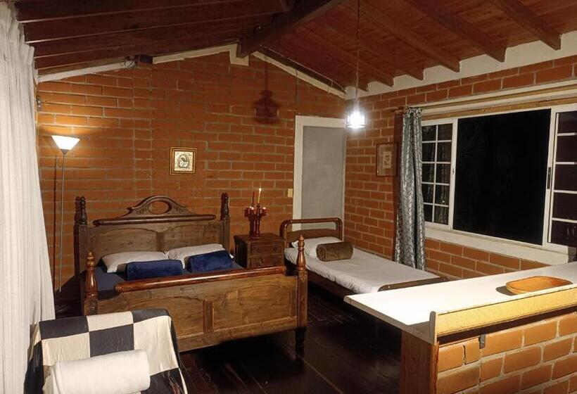 스탠다드 룸, Biohotel Ecohouse
