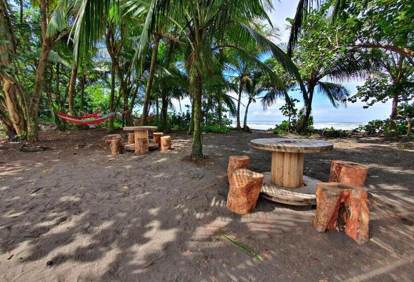 스탠다드 룸, Caribbean View House