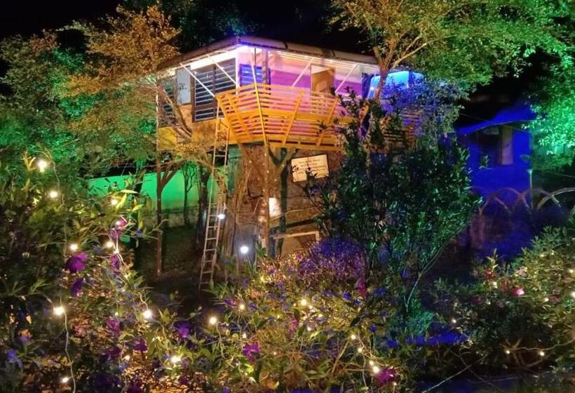 Трехместный Номер Deluxe, Treehouse Tabor Hills Resort Vagamon