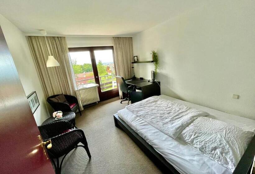 스탠다드 발코니 룸, Pension Linz