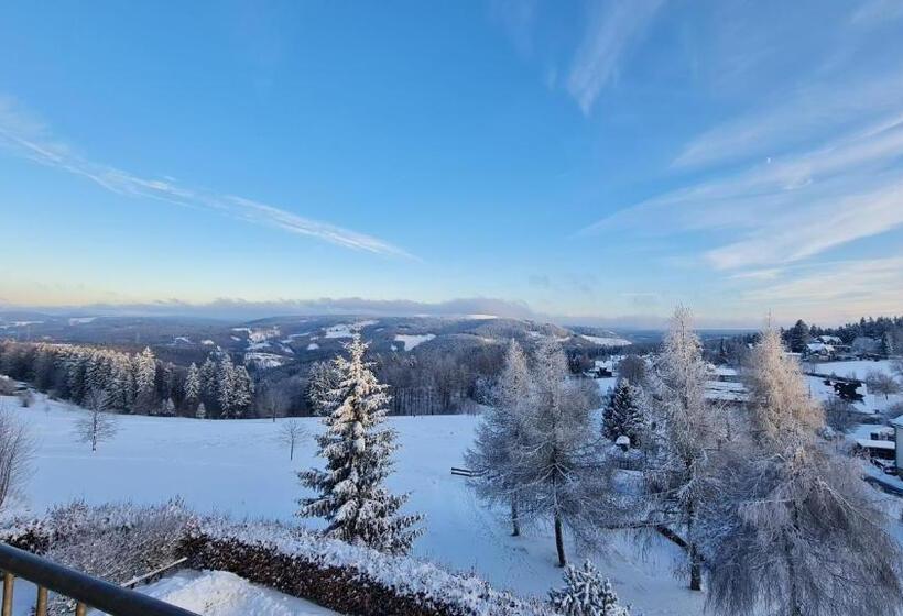 Номер Стандарт с Балконом, Pension Breitenborn