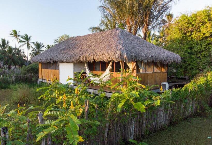 수피리어 방갈로, Vila Do Junco