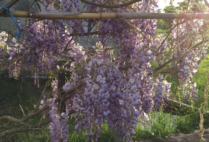 Дом 3 Спальни, Une Maison, Un Jardin