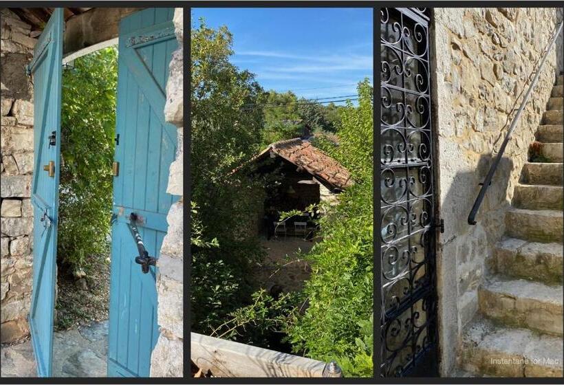 Номер Стандарт с Террасой, Un Je Ne Sais Quoi De Paradis