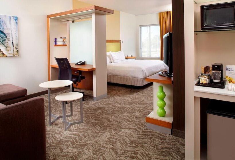 Studio Standard, Springhill Suites Houston Intercontinental Airport