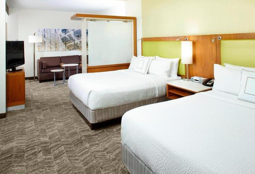 Studio Standard, Springhill Suites Houston Intercontinental Airport
