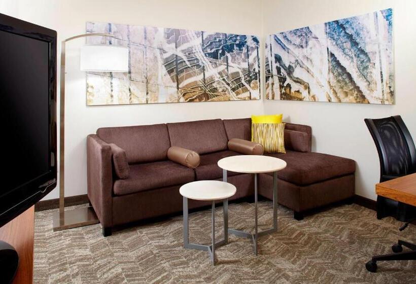 Studio Deluxe, Springhill Suites Houston Intercontinental Airport
