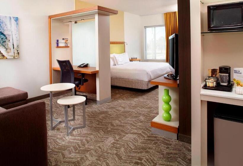 Standard Studio King Bed, Springhill Suites Houston Intercontinental Airport