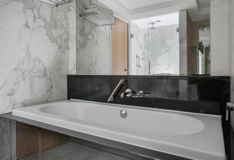 آپارتمان 1 خوابه, Lugal, A Luxury Collection Hotel, Ankara