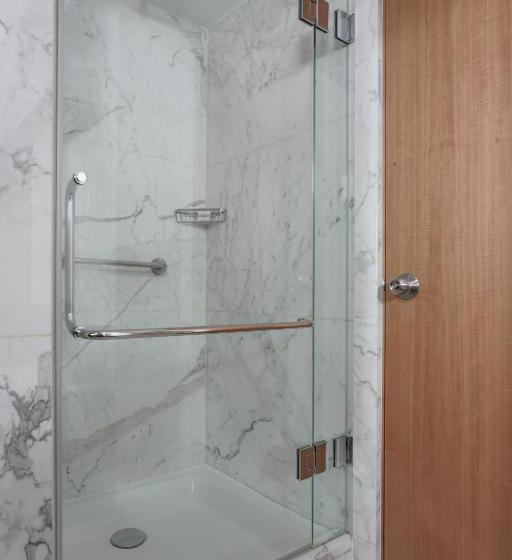 اتاق لوکس با تخت بزرگ, Lugal, A Luxury Collection Hotel, Ankara