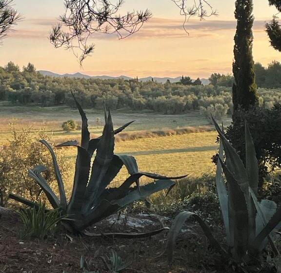 标准间, Mas Des Alpilles