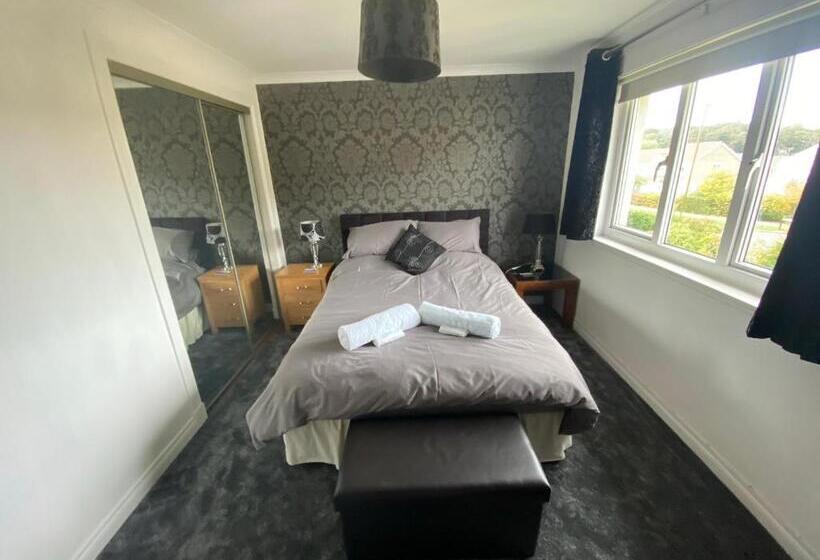 Номер Стандарт, Dreamhaven