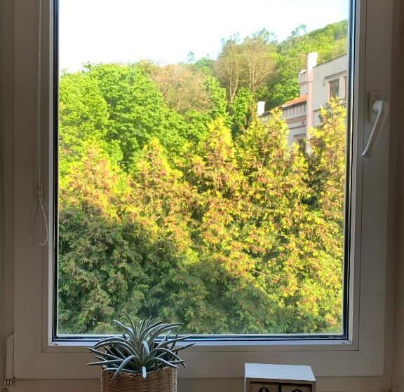 스위트, Treehouse Apartments