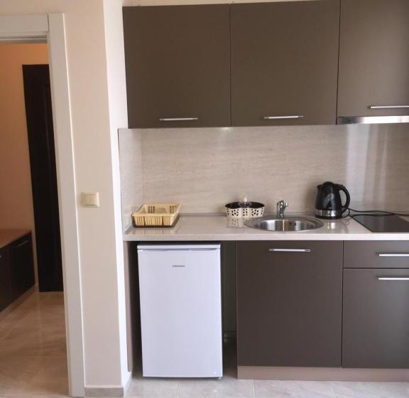 Апартаменты 1 Спальня с Террасой, Vase Apartments