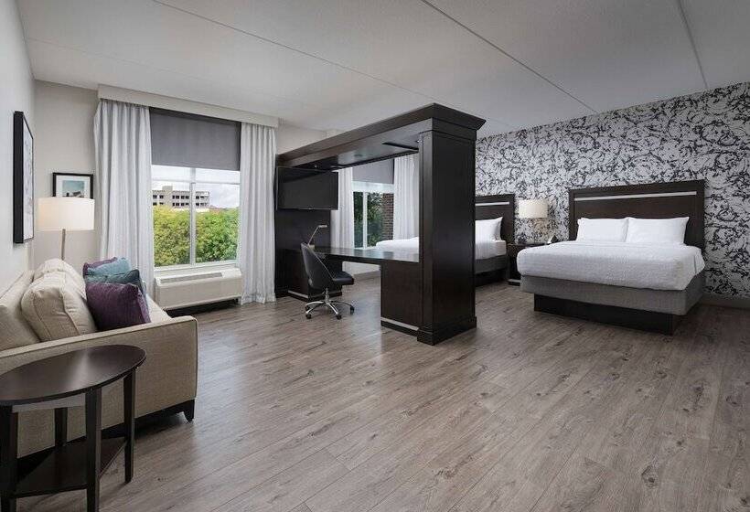 Studio Standard, Hampton Inn & Suites Chattanooga/downtown