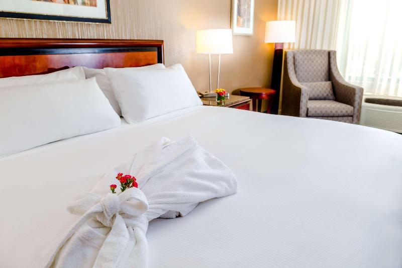 带大床的标准间, Doubletree By Hilton Las Vegas Airport