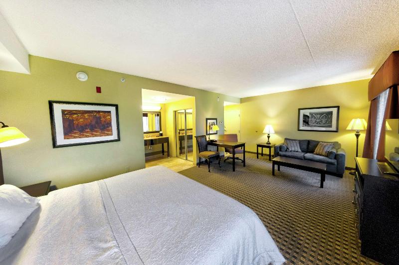 Студио Стандарт Кровать Кинг, Hampton Inn & Suites Chadds Ford