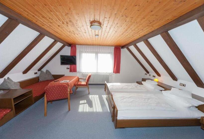 标准间, Pension Panoramablick