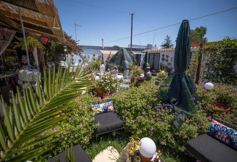 Номер Deluxe, Beach House Babylon Guest House With Kitchenette And Garden