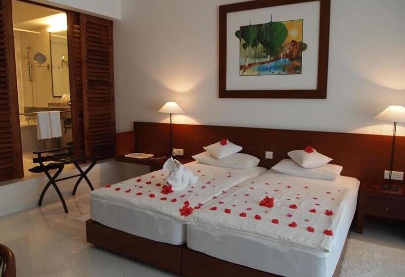 Camera Economy, Lanka Princess All Inclusive