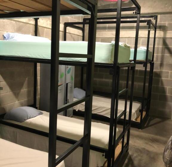 Łóżko we Wspólnym Pokoju, Hostal Tortuga