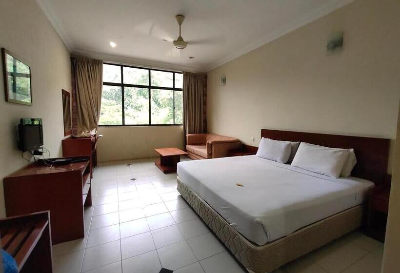 Студия Стандарт, Wawa S Golf View Inn