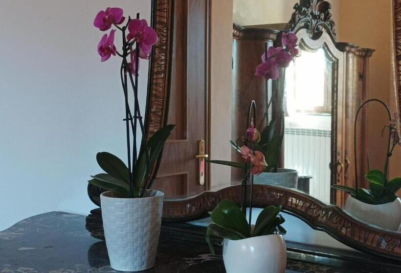 Family Suite, Bed And Breakfast Da Pio