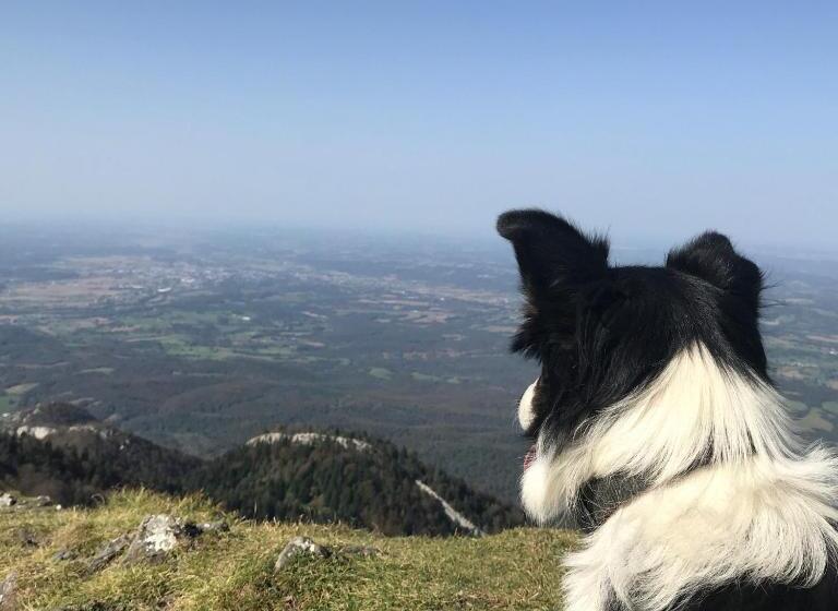 스탠다드 룸 산 전망, Gite Cap De La Hont