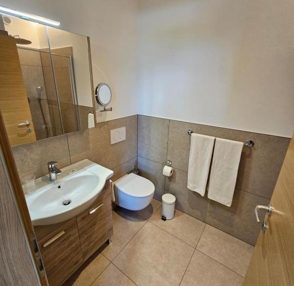 Апартаменты 1 Спальня с Террасой, Appartements Weisshauserhof