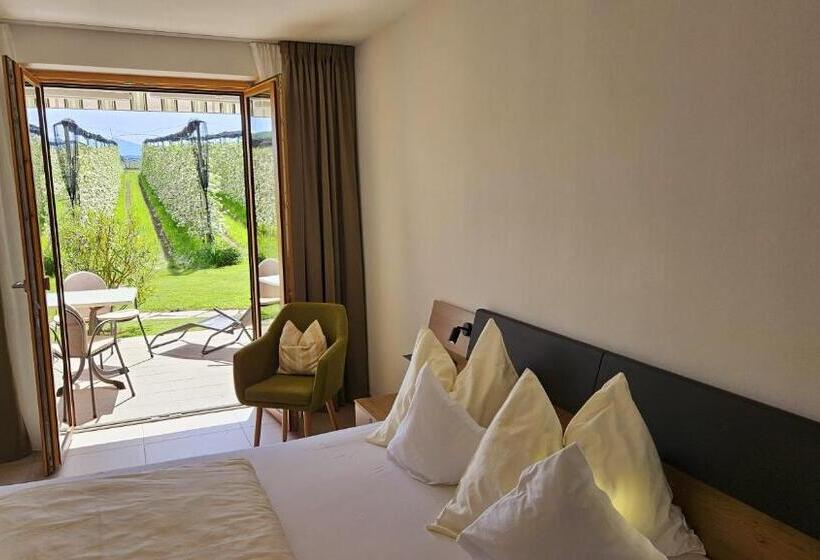 Апартаменты 1 Спальня с Террасой, Appartements Weisshauserhof