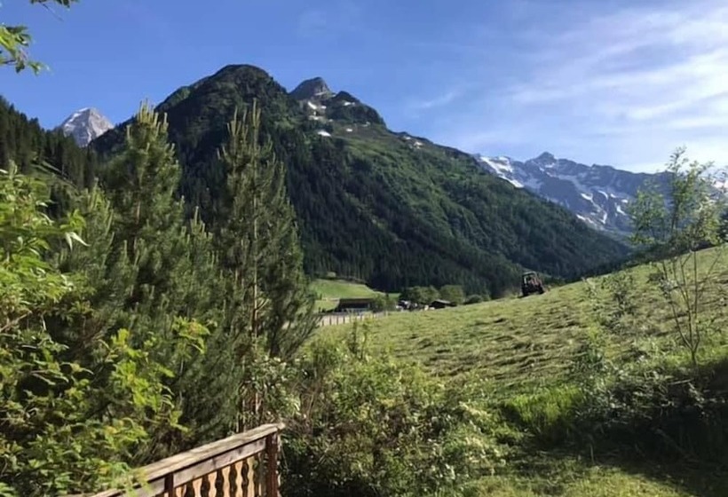 Номер Стандарт, Alfaierhof Bergheimat