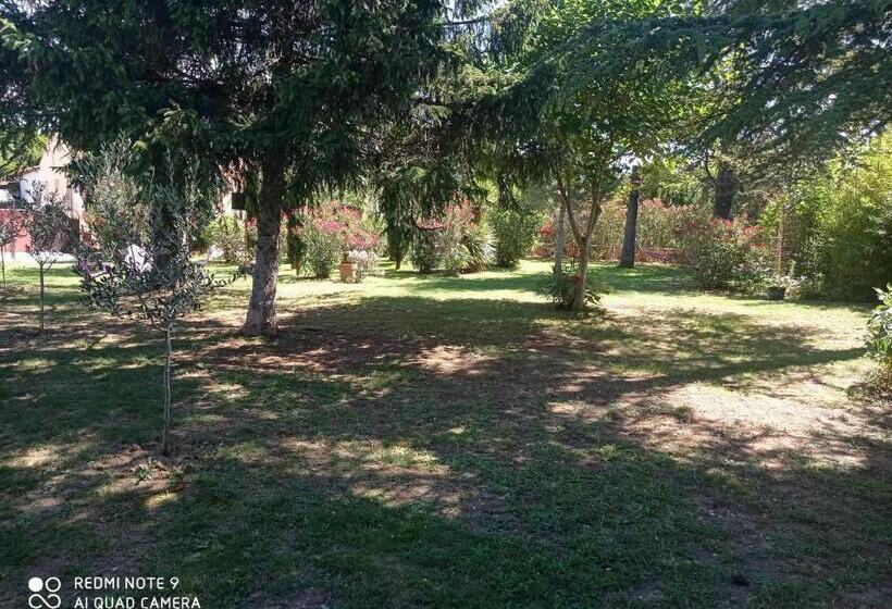 Номер Стандарт, Appartements Et