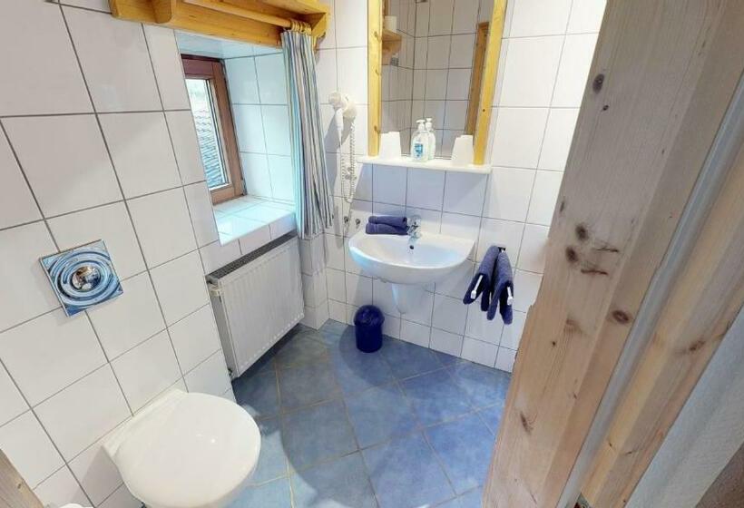 Апартаменты 1 Спальня с Балконом, Chalet Tirol Waidring