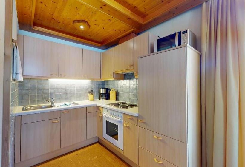 Апартаменты 2 Спальни с Балконом, Chalet Tirol Waidring