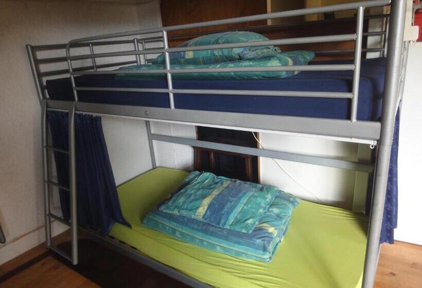 Кровать в Общей Комнате, Frank S Backpackers