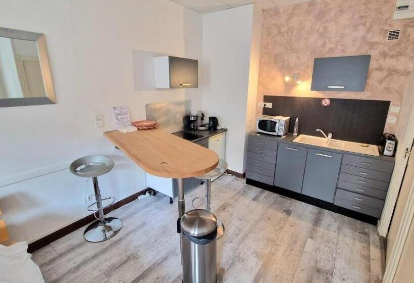 Студия Стандарт, Appart Hôtel Roanne Hyper Centre Ville