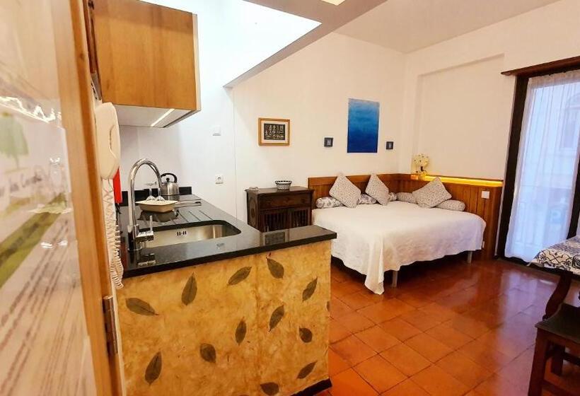 آپارتمان 1 خوابه, Solar Dos Carvalhos   Apartamentos De Turismo