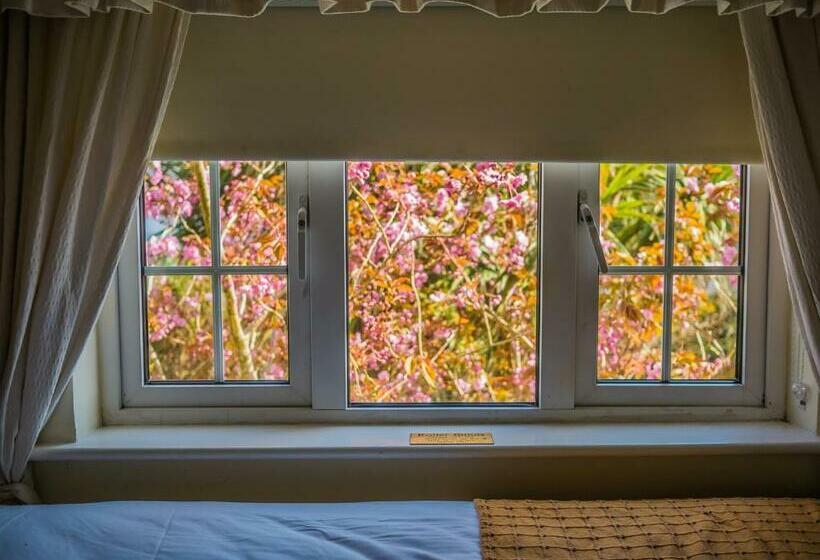 Номер Стандарт, Ashe S Accommodation