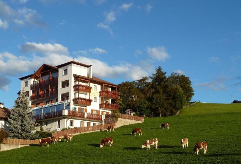 Номер Стандарт Индивидуальный, Pension Schlaneiderhof