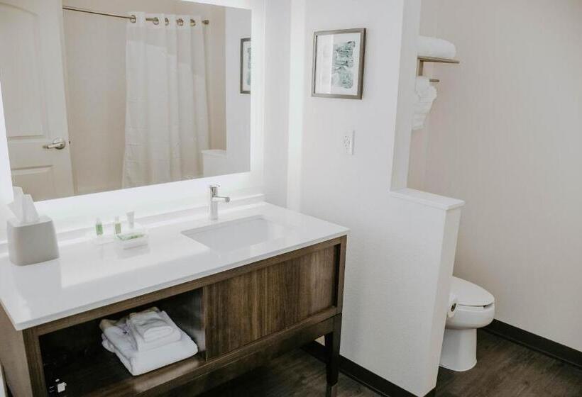 Номер Deluxe, Holiday Inn Omaha Downtown   Waterpark, An Ihg