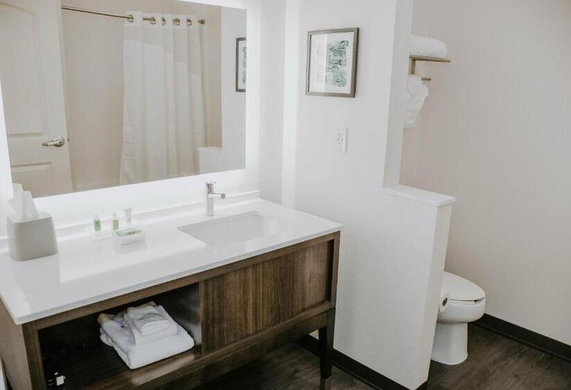 Номер Deluxe, Holiday Inn Omaha Downtown   Waterpark, An Ihg