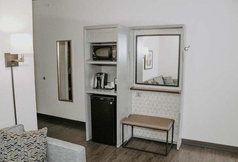 Номер Стандартный с Видом, Holiday Inn Omaha Downtown   Waterpark, An Ihg